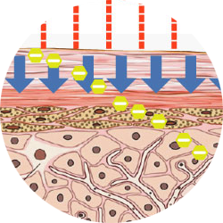 電致孔技術(shù)
